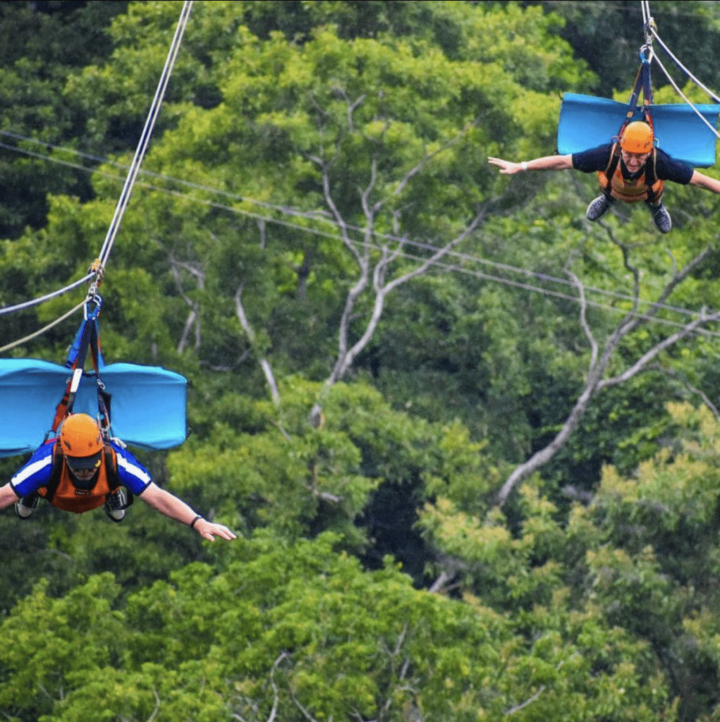 ジュビラン Zuperman-Zipline18-1021x1024.png